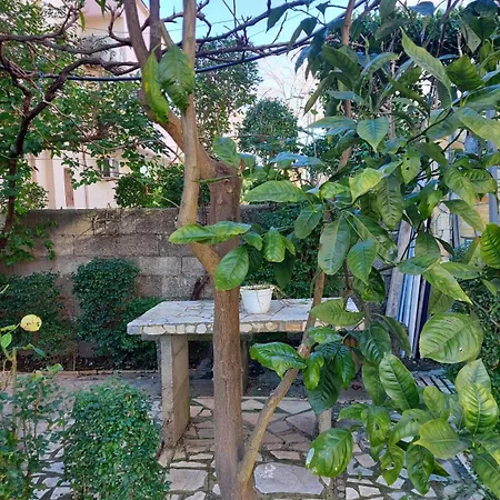 Deluxe Groundfloor With Garden Only For Long Term Rental *