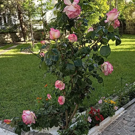 Vila Aliaj Deluxe Groundfloor With Beautiful Garden Дуррес
