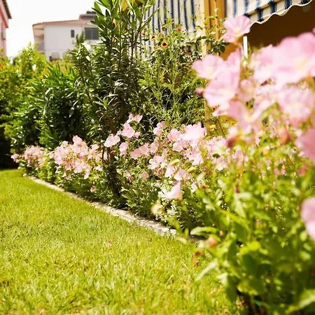 Апартаменты Vila Aliaj Deluxe Groundfloor With Beautiful Garden