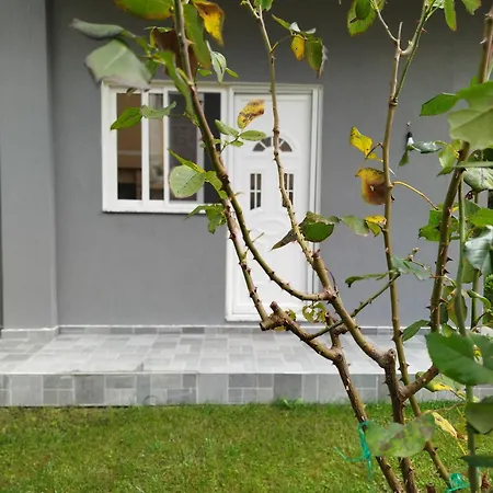 Appartement Deluxe Groundfloor With Garden Only For Long Term Minimum 3 Months Durrës