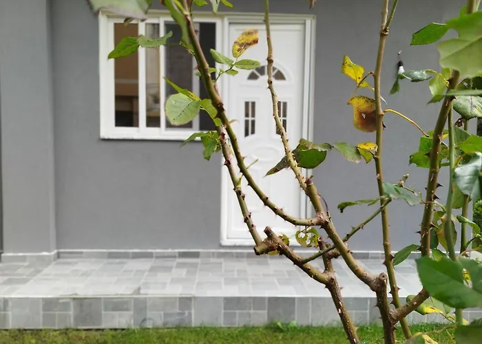 Apartmán Deluxe Groundfloor With Garden Only For Long Term Durrës