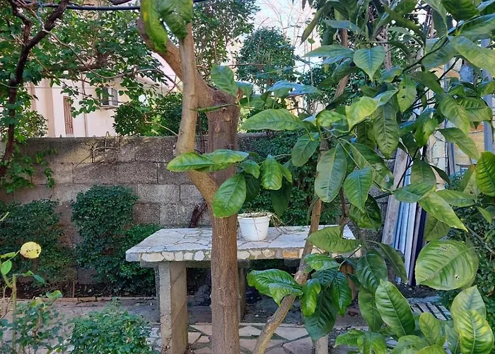 Deluxe Groundfloor With Garden Only For Long Term *